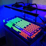 Coloured Adapter Kit