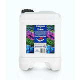 Coral Essentials: Calcium, Alkalinity, Magnesium + Traces